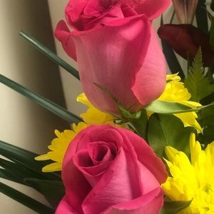 Meet your Posher, Jill